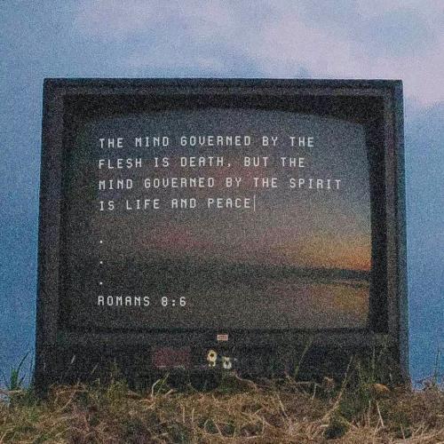 242861379_165903539026708_2980663210472602698_n