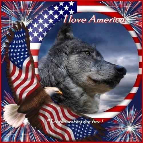 09:01:48 GMT-0400 (EDT)