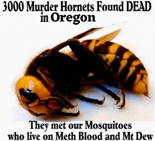 FB_IMG_1632356159322