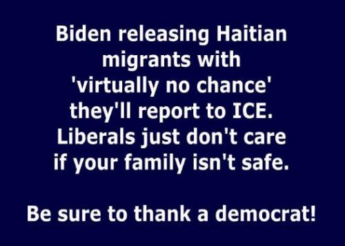 illegal immigration250