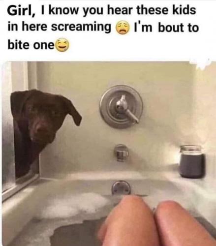 17:20:54 GMT-0400 (EDT)