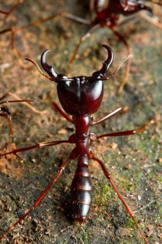 13620088_10204958147273588_3606457143464450658_n