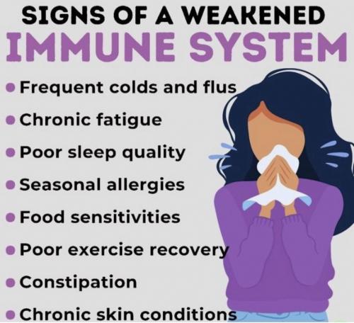 signs of a weak immune sysem