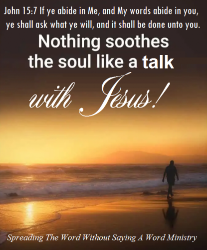 241489944_537339427537463_6575401901944944233_n