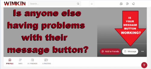 242201183_290261309158350_6772004156124604875_n (1)