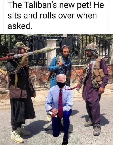 FB_IMG_1630632835528