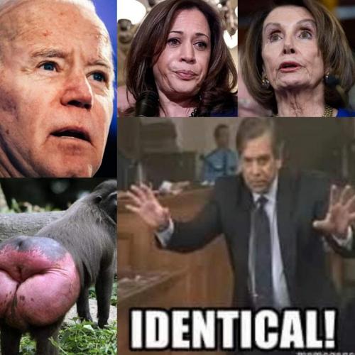 FB_IMG_1631732967005