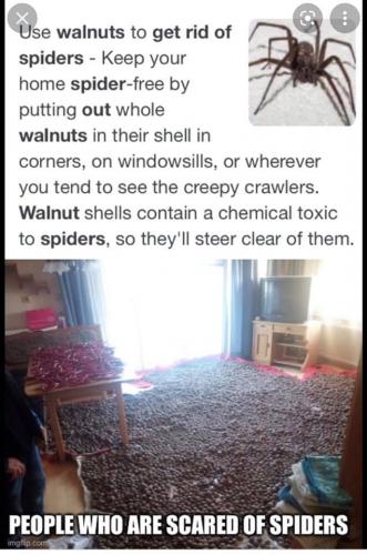 242458599_10227236364004558_2758643762965998764_n