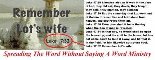 11999763_927447944004004_7083578260820205601_o