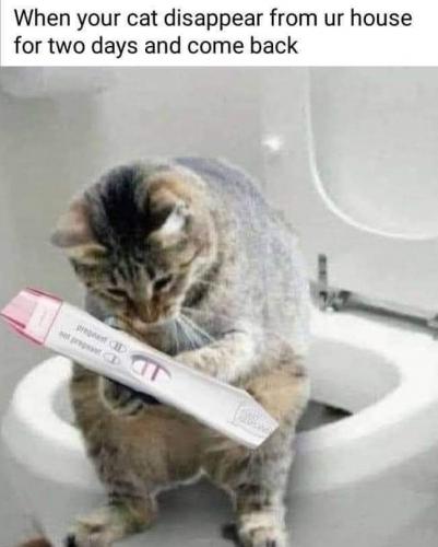 12:18:18 GMT-0500 (CDT)