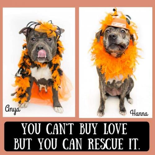 FB_IMG_1632062357078