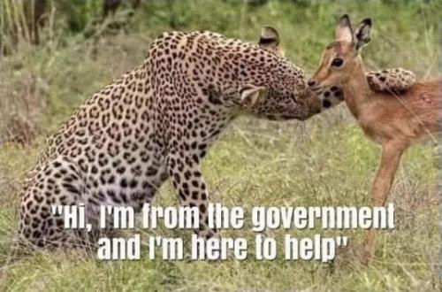 im from the government and im here to help