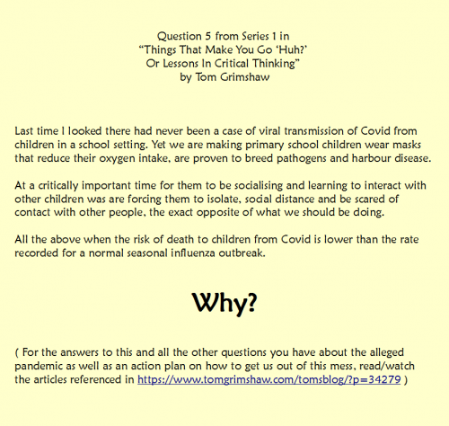 S1_Q5_Critical_Thinking