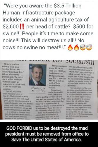 Screenshot_20210927-135916_Photos~2