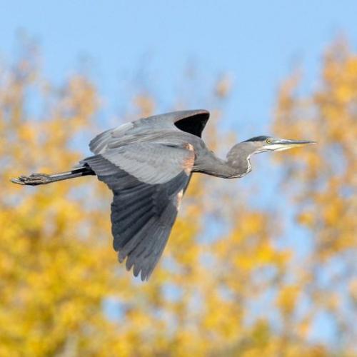 tumblr_d86b1a9c8066e5076d1aa3f9ba8f0db4_68f3854a_540