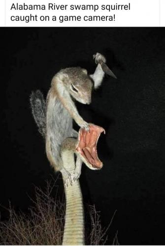 197650503_176362037829197_4498419630666988688_n