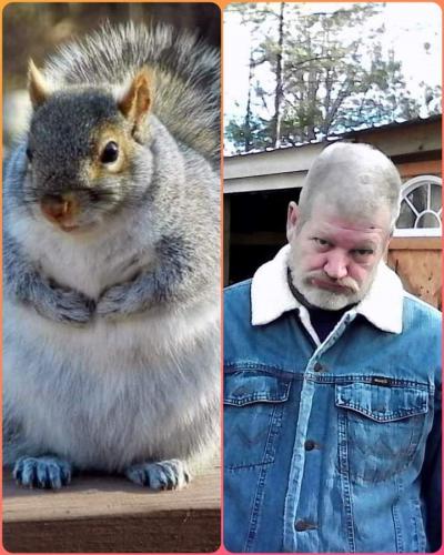 11:02:09 GMT-0400 (EDT)