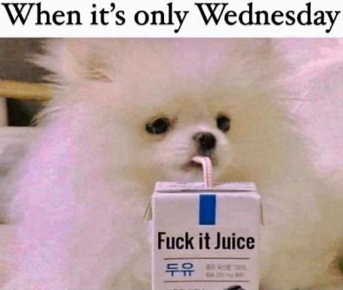 240902222_990178545149401_2274986323306845524_n