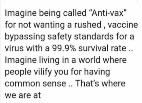 image_1631479816.018.jpg~2