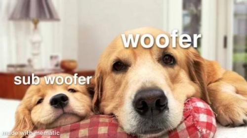 tumblr_c8f911627fd23d3c17b42d45f1c49ac4_dc71ea34_640