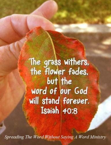 240587609_1013892296063651_3546331856873362995_n