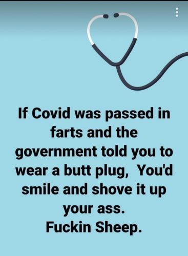 FB_IMG_1630632891543