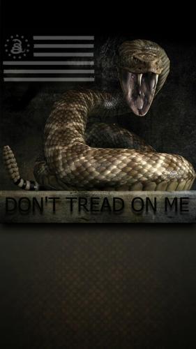 Dont_Tread_On_Me-wallpaper-10653609