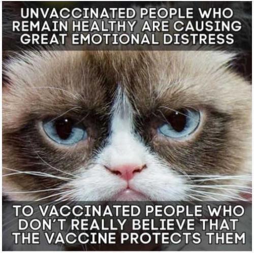 unvaccinated-who-remain-healthy-distress-vaxxed-who-believe-it-doesnt-protect-them