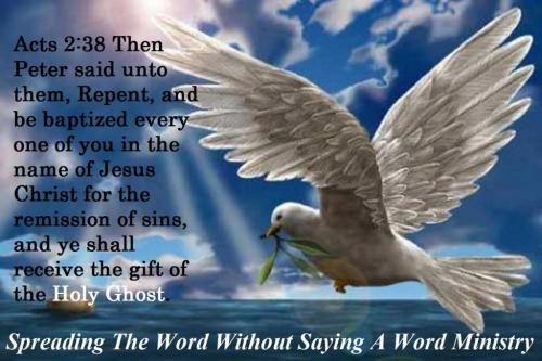 12034298_827868267312306_4406995016418280228_o