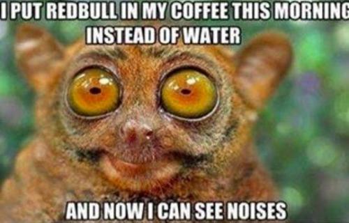 241332136_10219751232356883_3719577248262361073_n