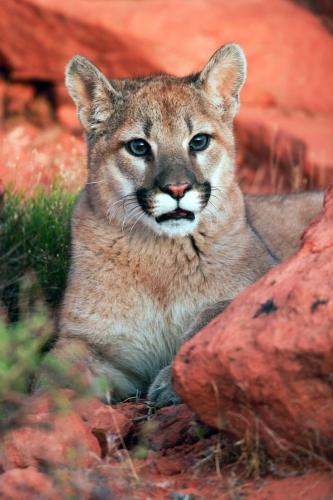 19:43:15 GMT-0500 (CDT)