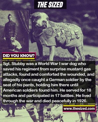 241236323_383178649915125_3424386921245886884_n