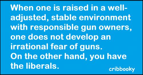 irrational_fear_guns