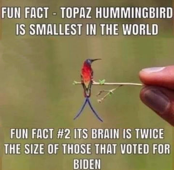 voters18