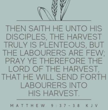 06:41:35 GMT-0700 (PDT)