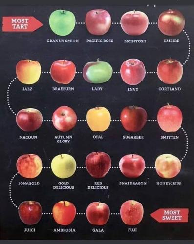 Apple_Varieties