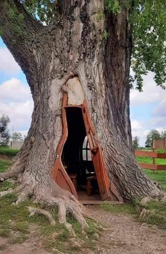 tree house
