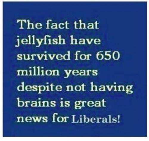 24830BAF-8886-4611-B6C2-8EE95B0BD426-12268-00000784605CBBAD