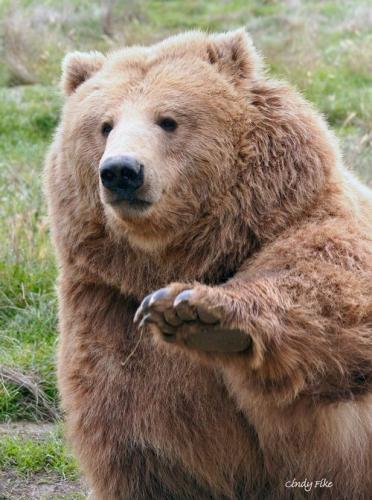 07:31:57 GMT-0500 (CDT)