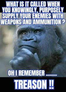 OhIRememberTreasonGorillaPhoto