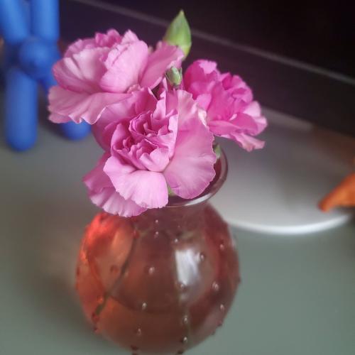 IMG_20210904_100518_875