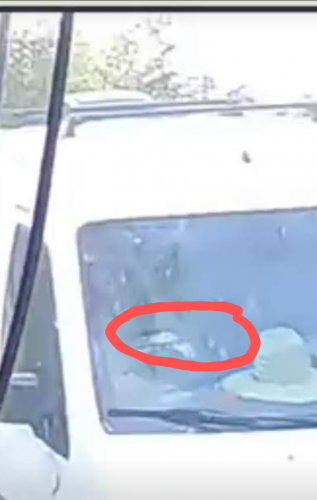 Screenshot_20210921-211828~2