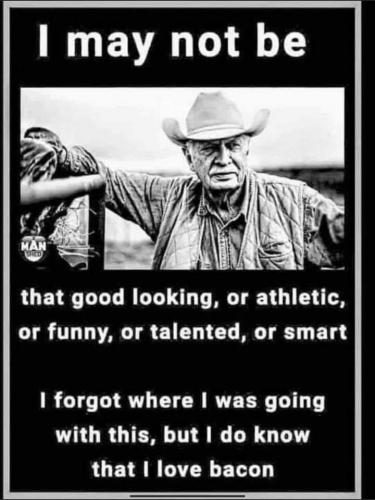 FB_IMG_1630873276549