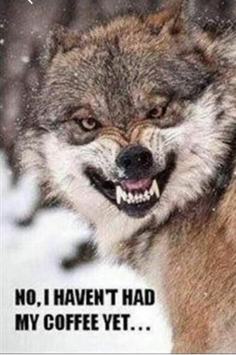 FB_IMG_1631702692686