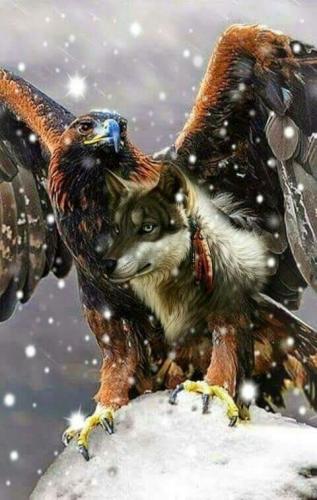 20:09:45 GMT-0500 (CDT)