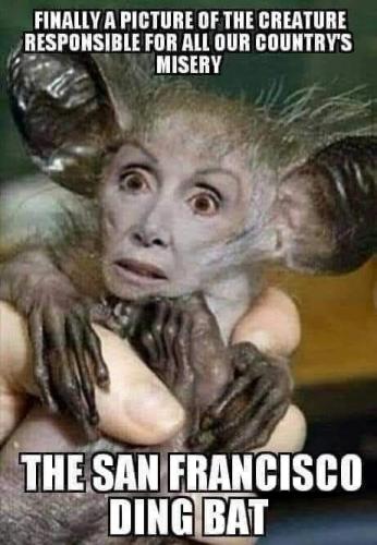 19:04:46 GMT-0500 (CDT)