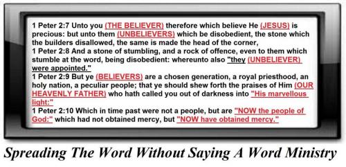 241044689_1696475420551858_5972142025512484438_n