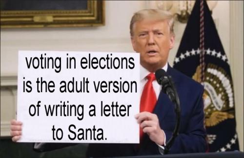 voterfraud229