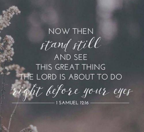 08:39:10 GMT-0400 (EDT)