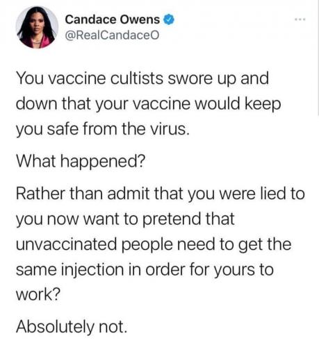 241023127_402202541351761_4572779855380444453_n